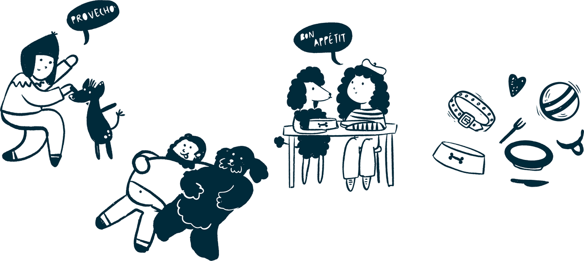 Illustrations Alqo